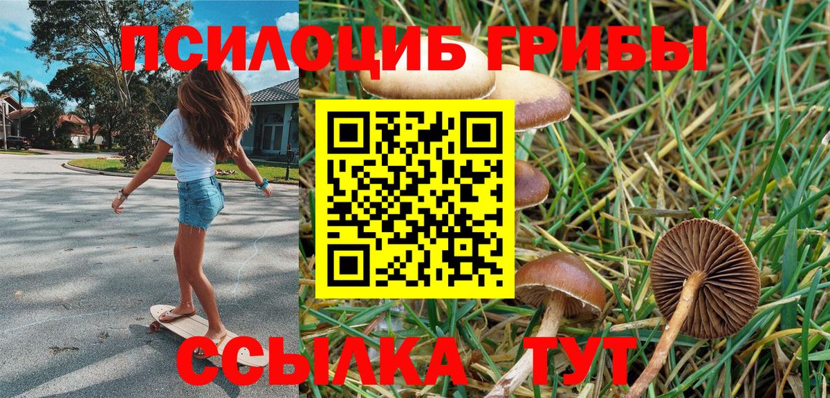 Жуковский  Псилоцибиновые грибы GOLDEN TEACHER  Галлюциногенные грибы Cubensis  Вход с VPN 
